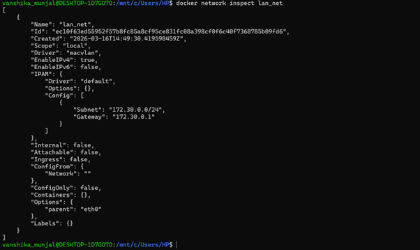 Docker Network Inspect